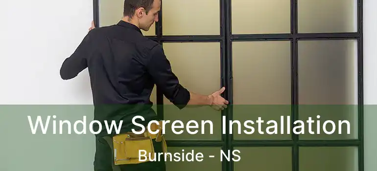  Window Screen Installation Burnside - NS