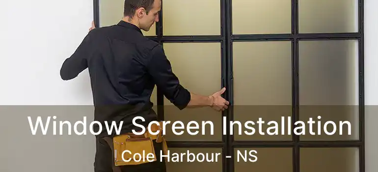  Window Screen Installation Cole Harbour - NS