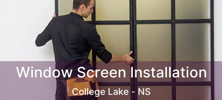  Window Screen Installation College Lake - NS