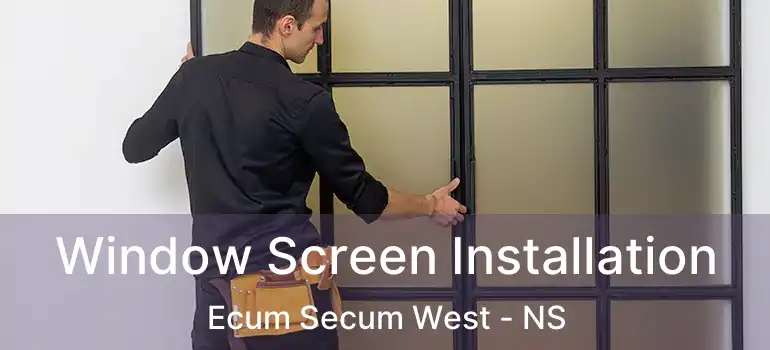  Window Screen Installation Ecum Secum West - NS