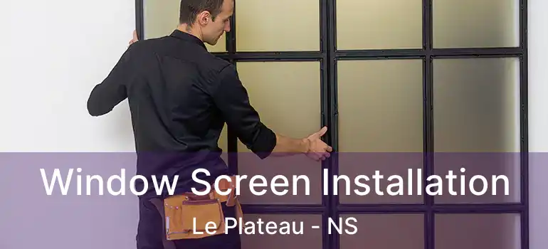  Window Screen Installation Le Plateau - NS