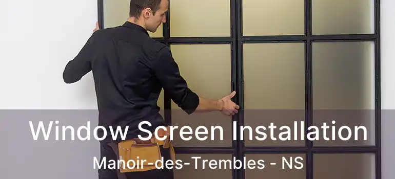  Window Screen Installation Manoir-des-Trembles - NS