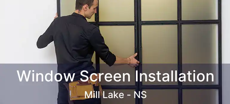  Window Screen Installation Mill Lake - NS