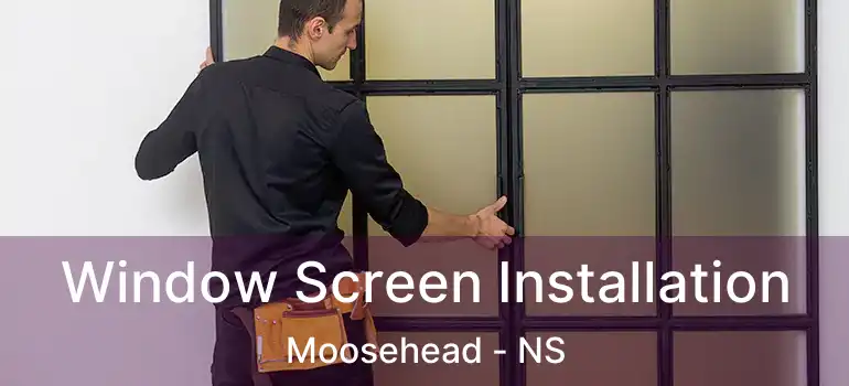  Window Screen Installation Moosehead - NS