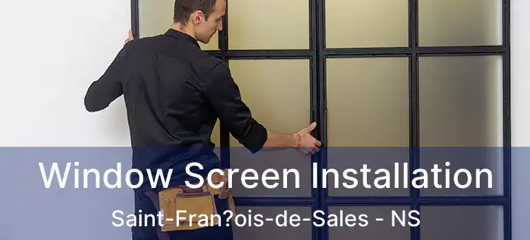  Window Screen Installation Saint-Fran?ois-de-Sales - NS