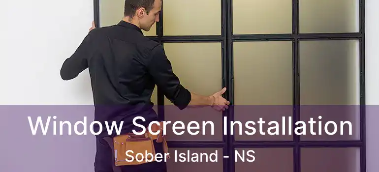  Window Screen Installation Sober Island - NS