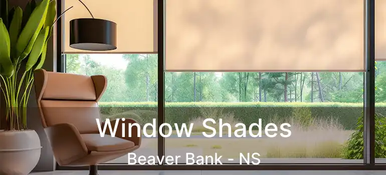  Window Shades Beaver Bank - NS