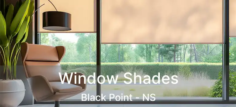  Window Shades Black Point - NS