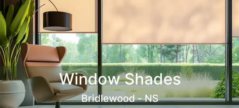  Window Shades Bridlewood - NS