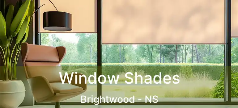  Window Shades Brightwood - NS