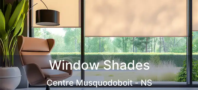  Window Shades Centre Musquodoboit - NS