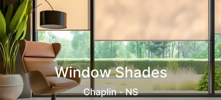  Window Shades Chaplin - NS