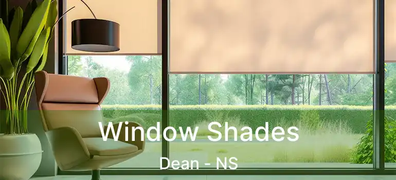  Window Shades Dean - NS