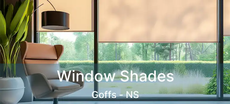  Window Shades Goffs - NS