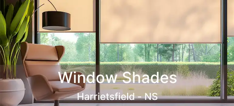  Window Shades Harrietsfield - NS