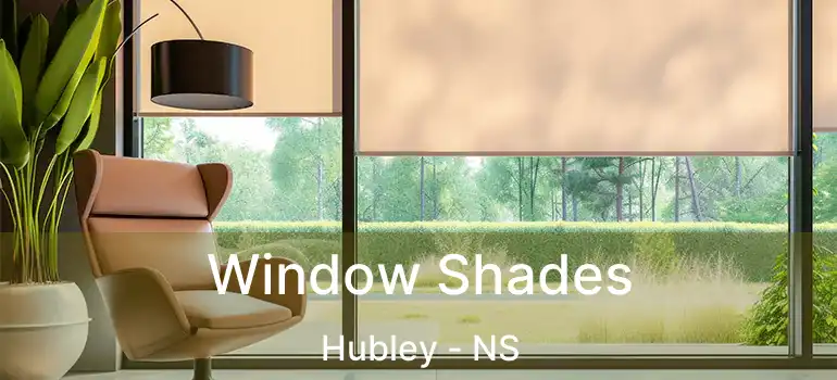  Window Shades Hubley - NS