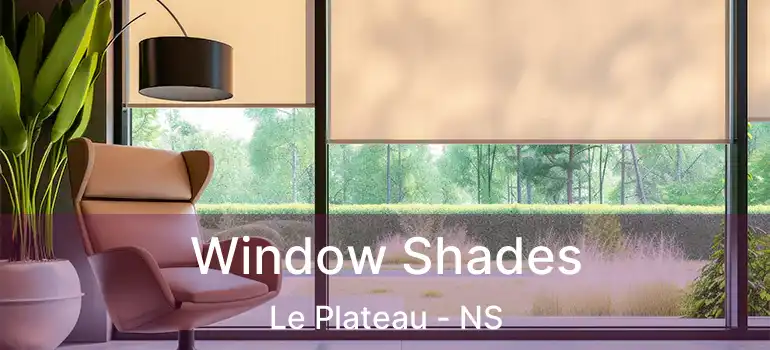  Window Shades Le Plateau - NS