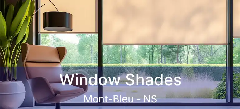  Window Shades Mont-Bleu - NS