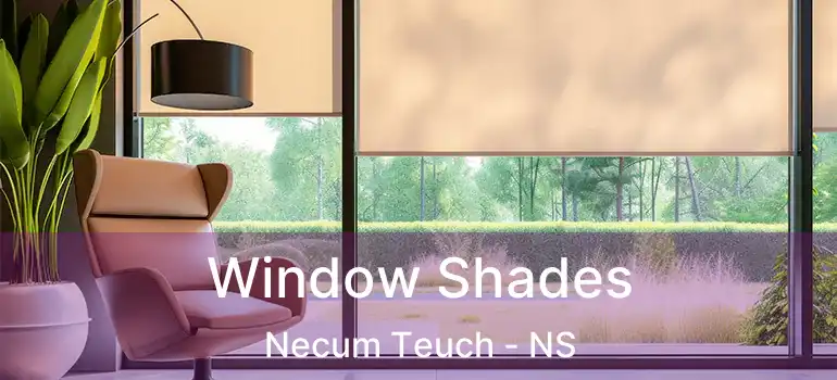  Window Shades Necum Teuch - NS