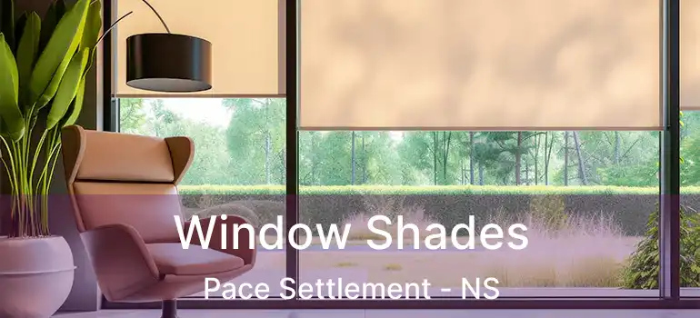  Window Shades Pace Settlement - NS