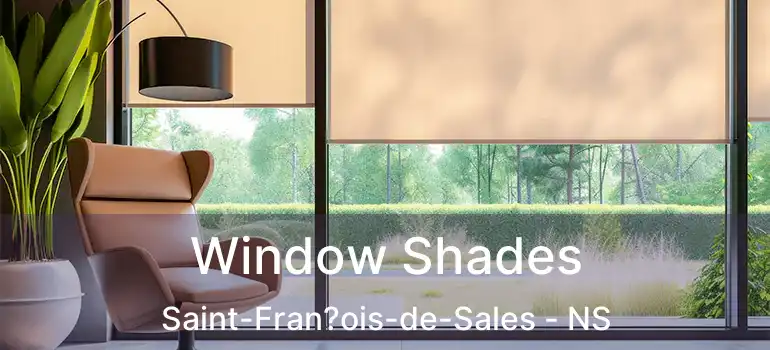  Window Shades Saint-Fran?ois-de-Sales - NS