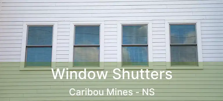  Window Shutters Caribou Mines - NS