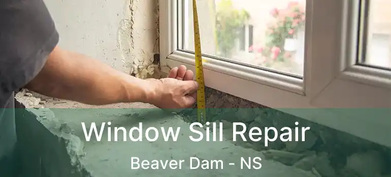  Window Sill Repair Beaver Dam - NS