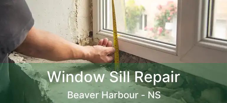  Window Sill Repair Beaver Harbour - NS