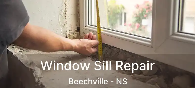  Window Sill Repair Beechville - NS