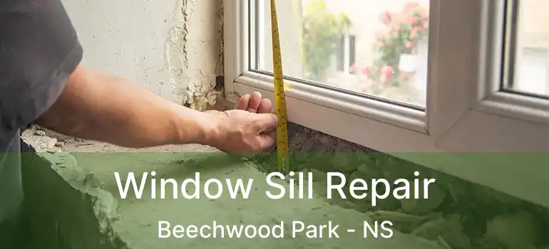  Window Sill Repair Beechwood Park - NS