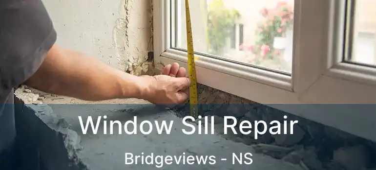  Window Sill Repair Bridgeviews - NS