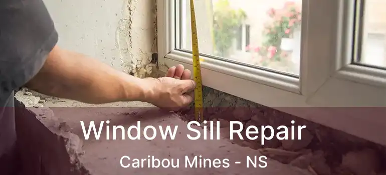  Window Sill Repair Caribou Mines - NS