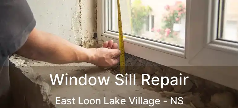  Window Sill Repair East Loon Lake Village - NS