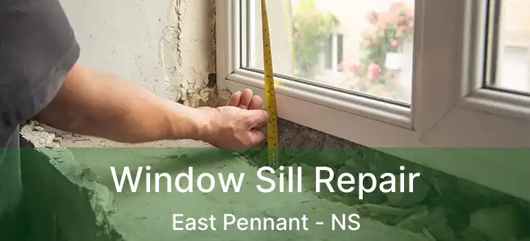  Window Sill Repair East Pennant - NS