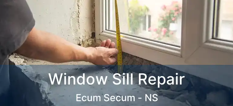  Window Sill Repair Ecum Secum - NS