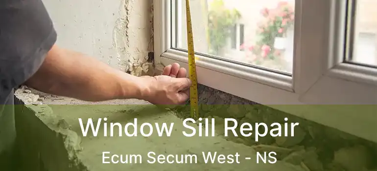  Window Sill Repair Ecum Secum West - NS