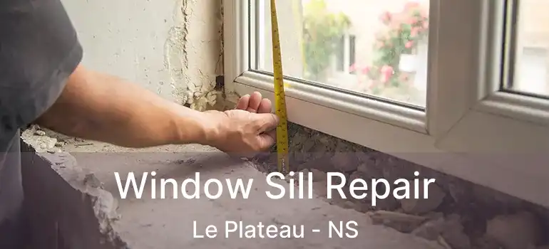  Window Sill Repair Le Plateau - NS