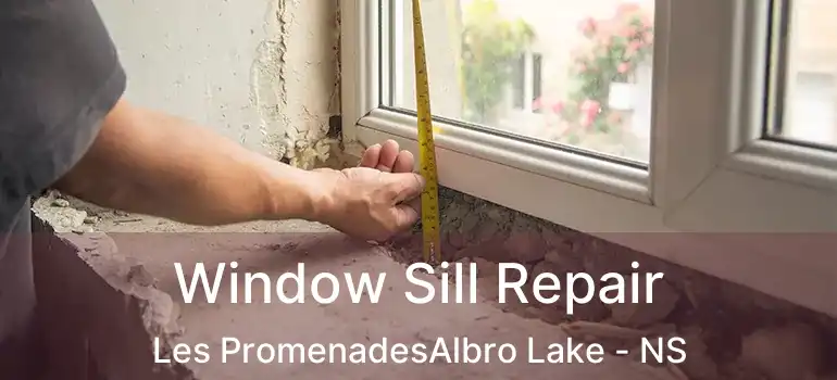  Window Sill Repair Les PromenadesAlbro Lake - NS