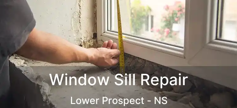  Window Sill Repair Lower Prospect - NS