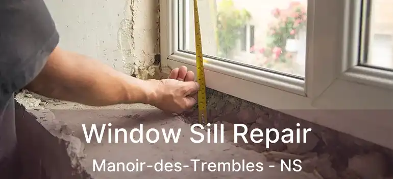  Window Sill Repair Manoir-des-Trembles - NS