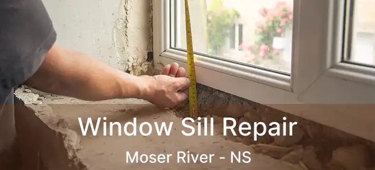  Window Sill Repair Moser River - NS