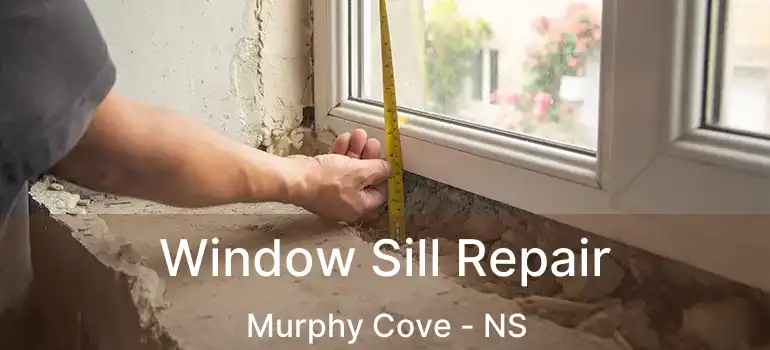  Window Sill Repair Murphy Cove - NS