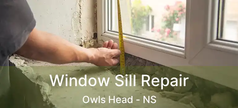  Window Sill Repair Owls Head - NS