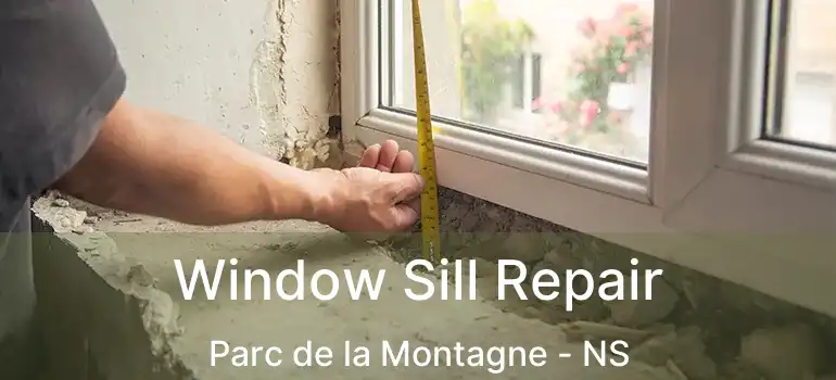  Window Sill Repair Parc de la Montagne - NS