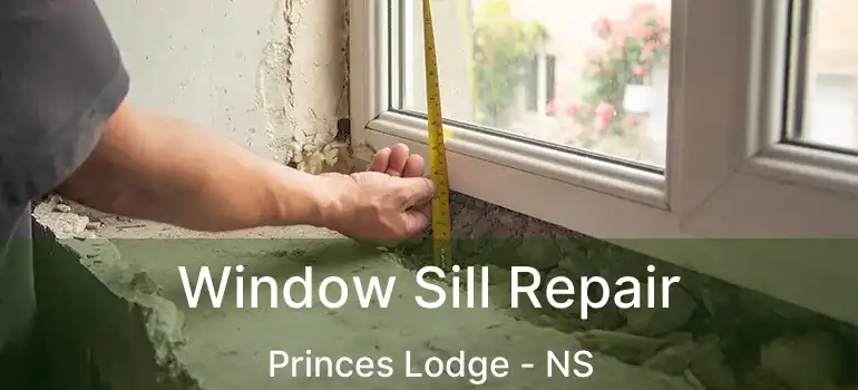  Window Sill Repair Princes Lodge - NS