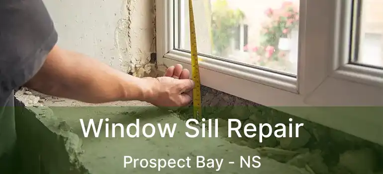  Window Sill Repair Prospect Bay - NS