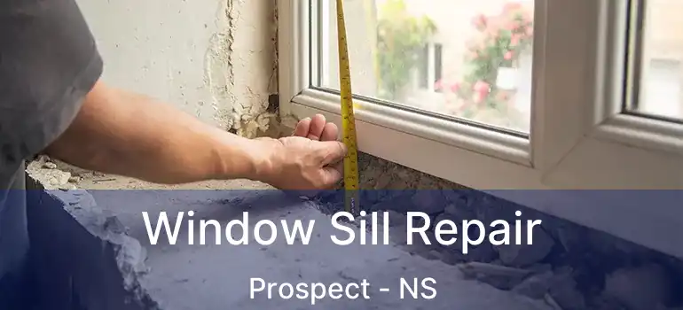  Window Sill Repair Prospect - NS