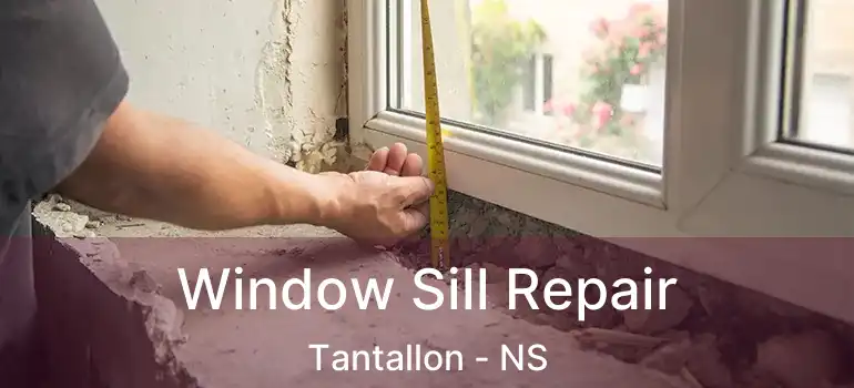  Window Sill Repair Tantallon - NS