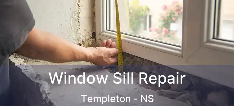  Window Sill Repair Templeton - NS