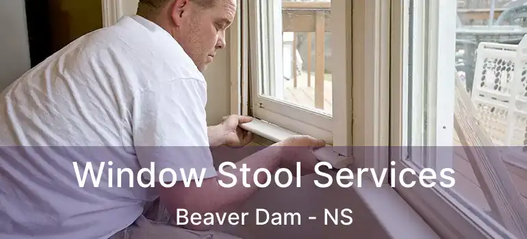  Window Stool Services Beaver Dam - NS